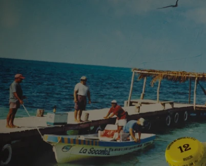 Part 1: My Journey Through the Beverages Isles