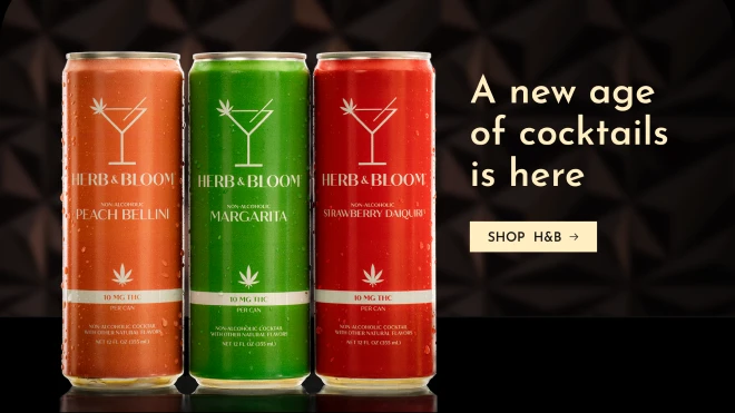 Peach Bellini, Margarita, and Strawberry Daiquiri THC beverages from Herb & Bloom lined up beside promotional text